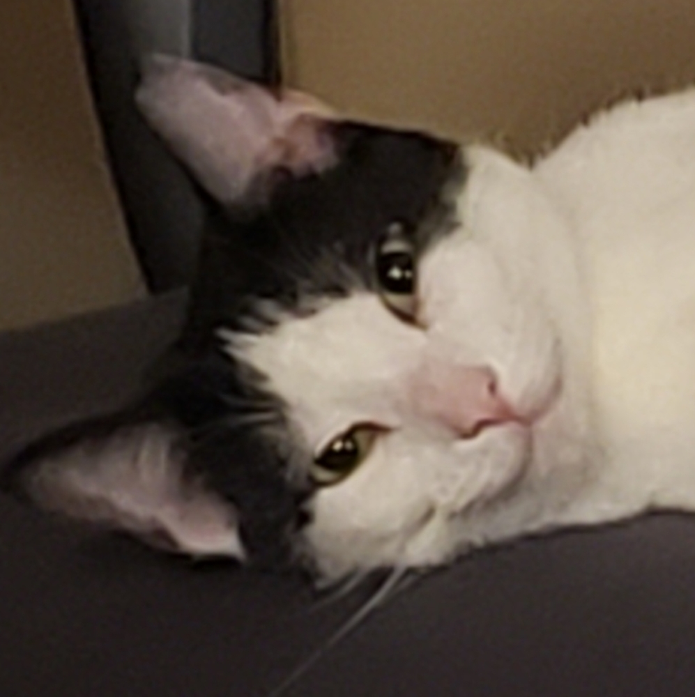 Meet your Posher, Kelsey